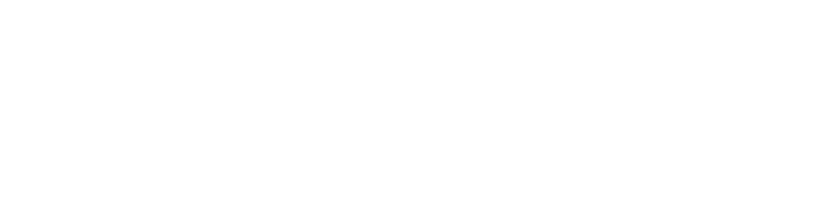 PSAI Logo